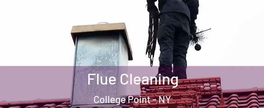 Flue Cleaning College Point - NY