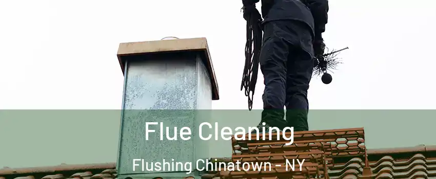 Flue Cleaning Flushing Chinatown - NY