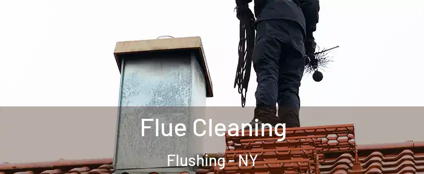 Flue Cleaning Flushing - NY