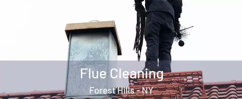Flue Cleaning Forest Hills - NY