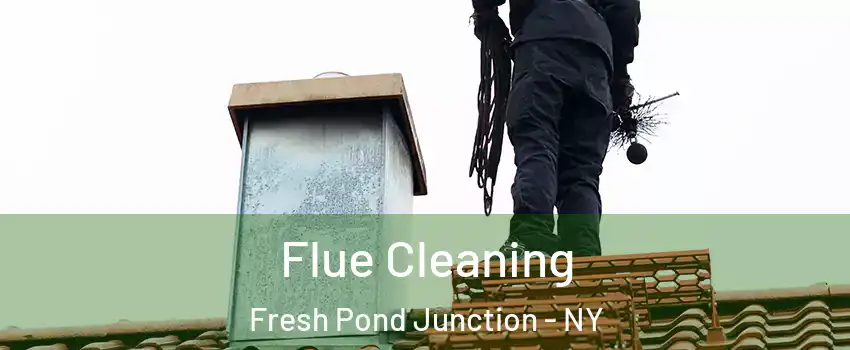 Flue Cleaning Fresh Pond Junction - NY