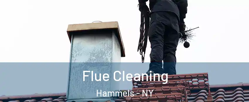 Flue Cleaning Hammels - NY