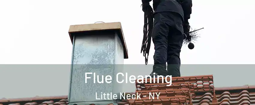 Flue Cleaning Little Neck - NY