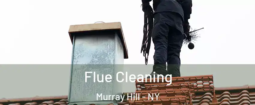 Flue Cleaning Murray Hill - NY
