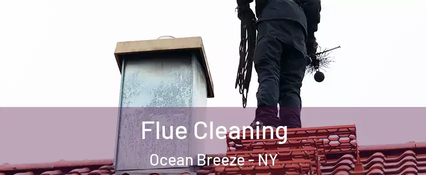 Flue Cleaning Ocean Breeze - NY