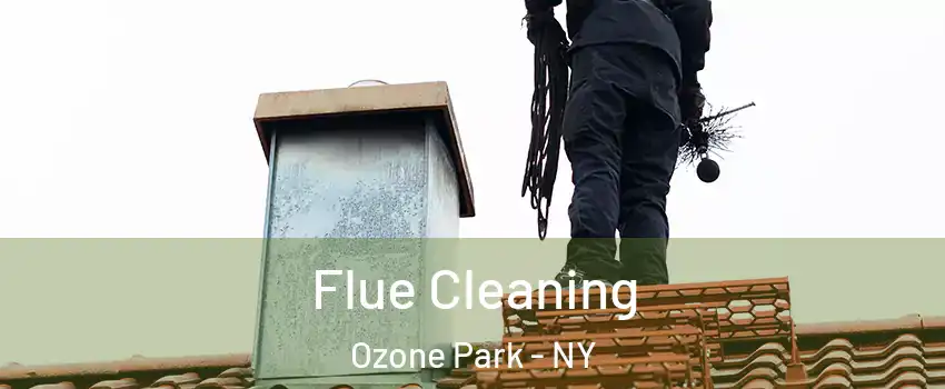 Flue Cleaning Ozone Park - NY