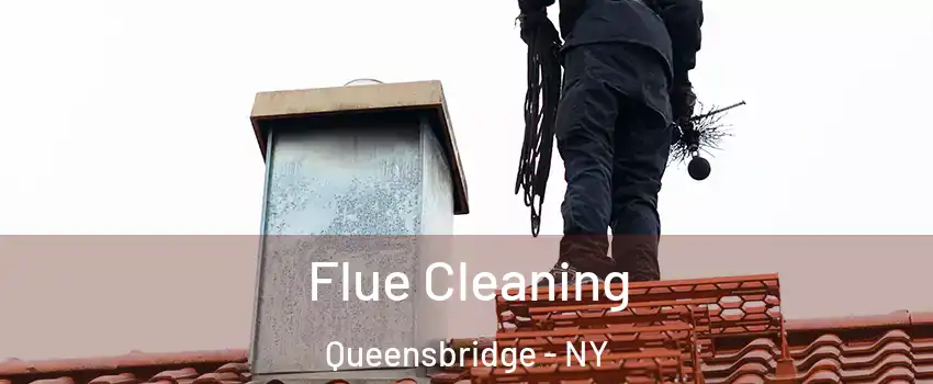 Flue Cleaning Queensbridge - NY