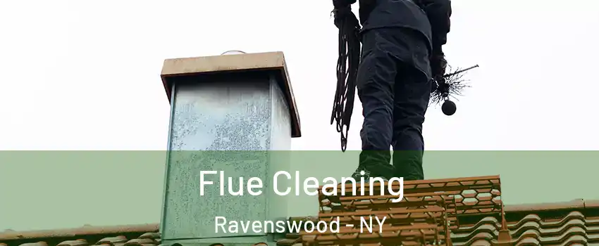 Flue Cleaning Ravenswood - NY