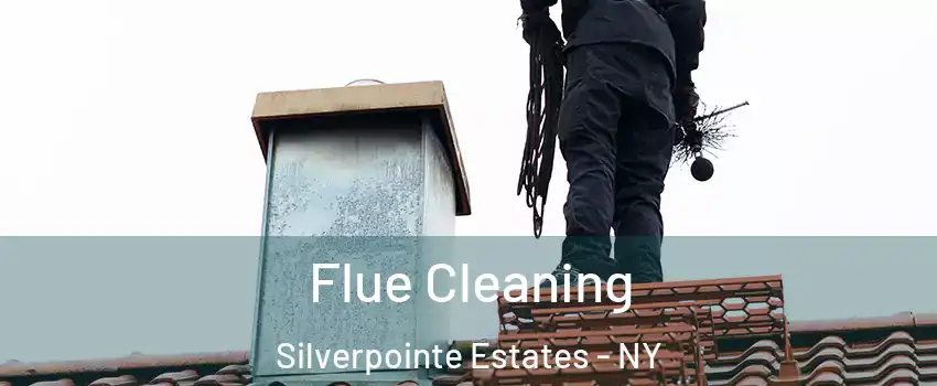 Flue Cleaning Silverpointe Estates - NY