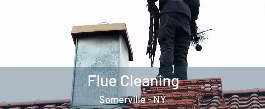 Flue Cleaning Somerville - NY