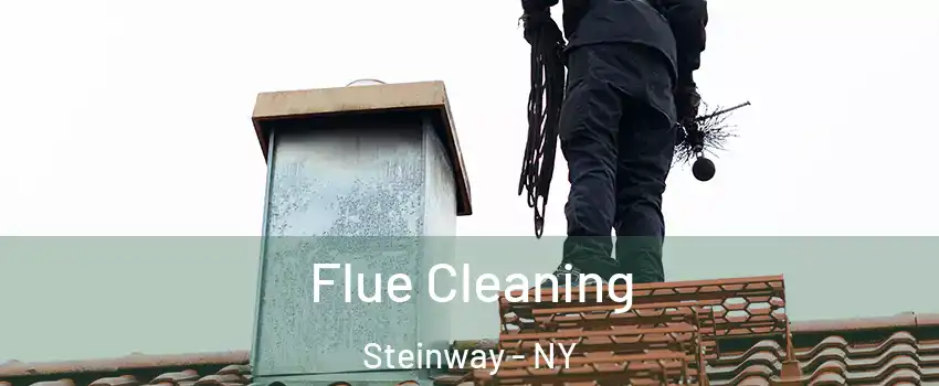 Flue Cleaning Steinway - NY