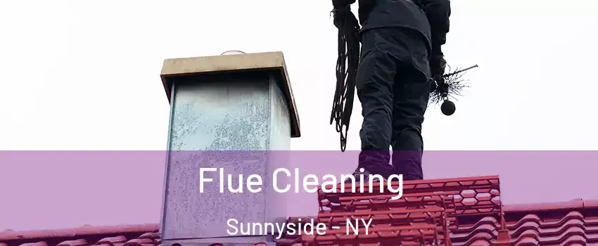 Flue Cleaning Sunnyside - NY