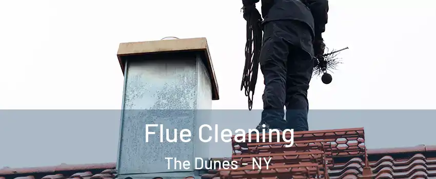 Flue Cleaning The Dunes - NY
