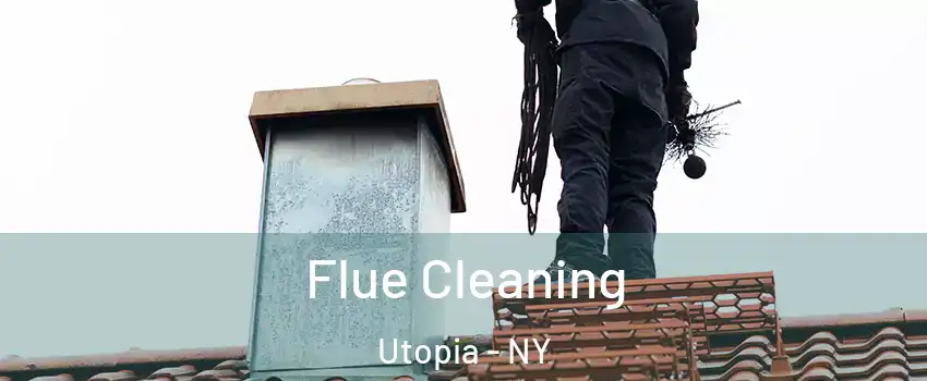 Flue Cleaning Utopia - NY