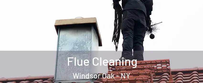 Flue Cleaning Windsor Oak - NY