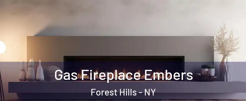 Gas Fireplace Embers Forest Hills - NY