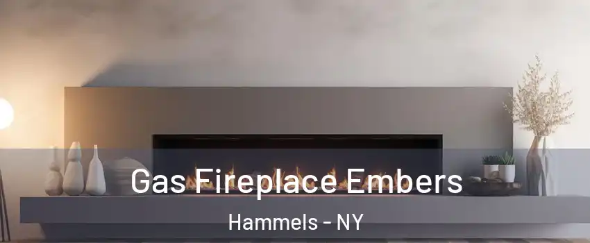 Gas Fireplace Embers Hammels - NY
