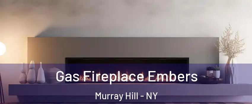 Gas Fireplace Embers Murray Hill - NY