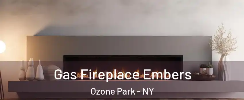 Gas Fireplace Embers Ozone Park - NY