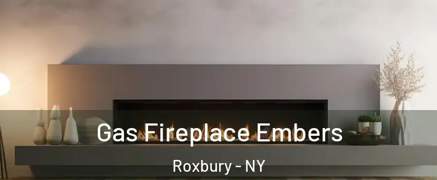 Gas Fireplace Embers Roxbury - NY