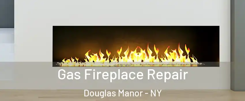 Gas Fireplace Repair Douglas Manor - NY