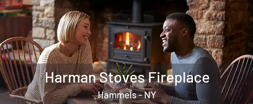 Harman Stoves Fireplace Hammels - NY
