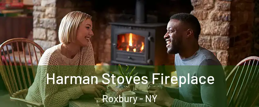 Harman Stoves Fireplace Roxbury - NY