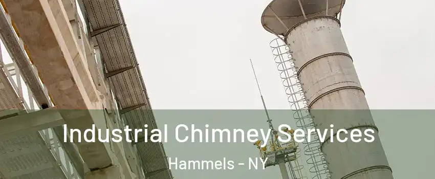 Industrial Chimney Services Hammels - NY