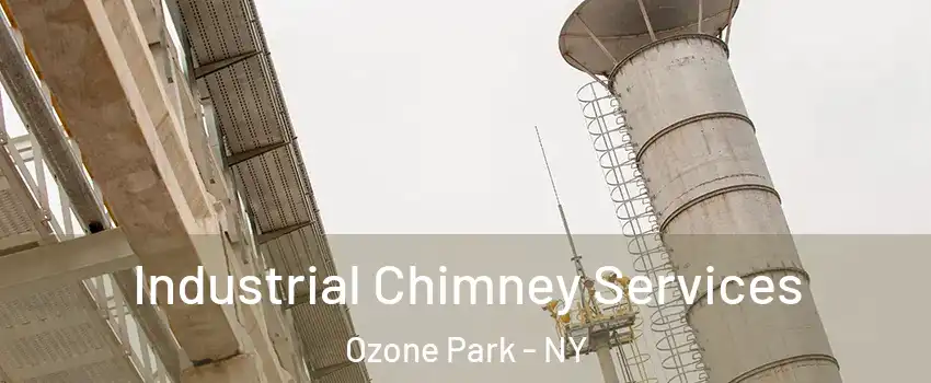 Industrial Chimney Services Ozone Park - NY