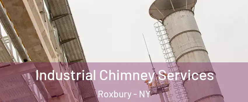 Industrial Chimney Services Roxbury - NY