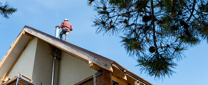 Birds Removal Contractors from Chimney in Arverne By The Sea, NY