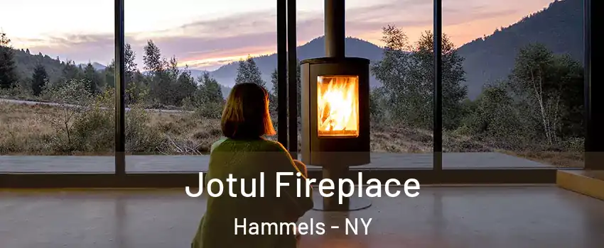 Jotul Fireplace Hammels - NY