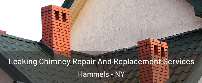Leaking Chimney Repair And Replacement Services Hammels - NY