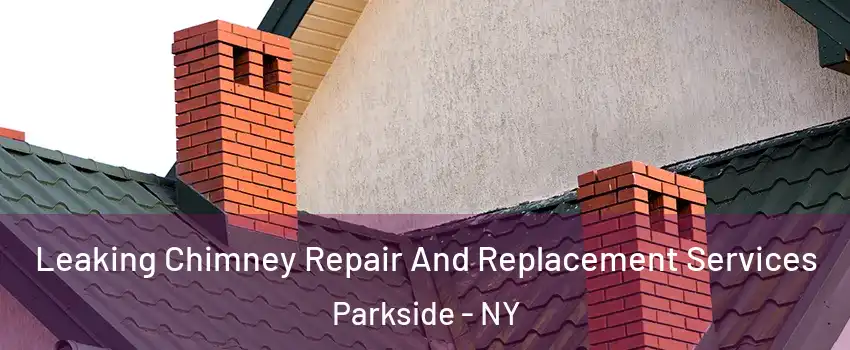 Leaking Chimney Repair And Replacement Services Parkside - NY