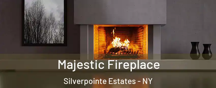 Majestic Fireplace Silverpointe Estates - NY