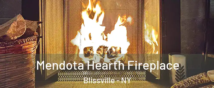 Mendota Hearth Fireplace Blissville - NY