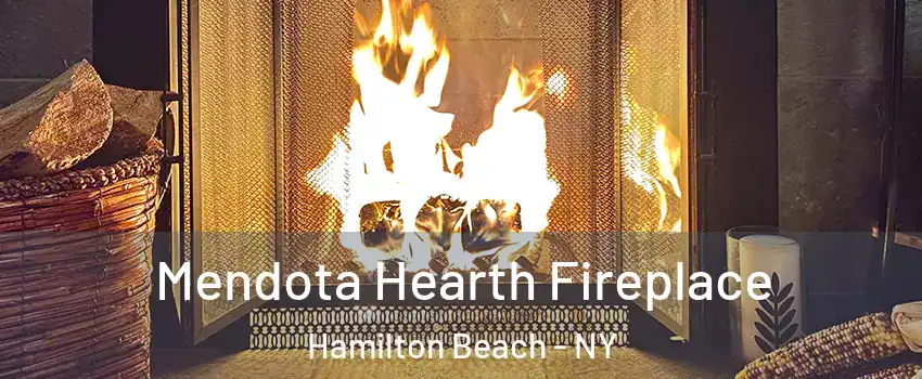 Mendota Hearth Fireplace Hamilton Beach - NY