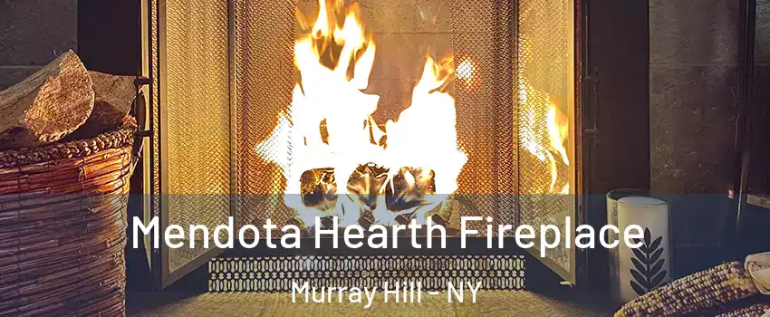 Mendota Hearth Fireplace Murray Hill - NY