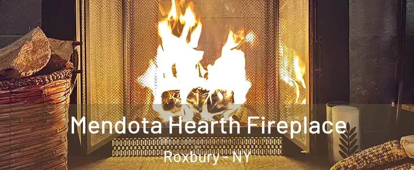 Mendota Hearth Fireplace Roxbury - NY