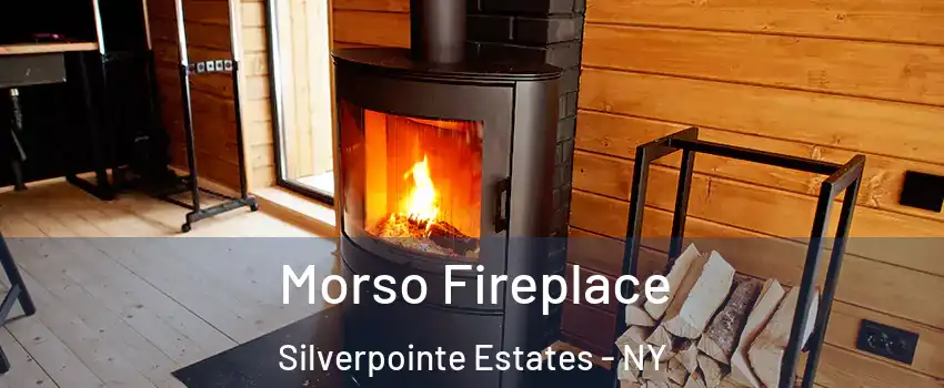 Morso Fireplace Silverpointe Estates - NY