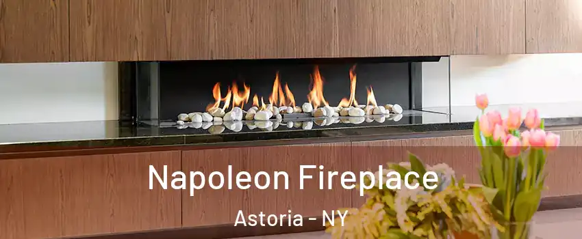 Napoleon Fireplace Astoria - NY