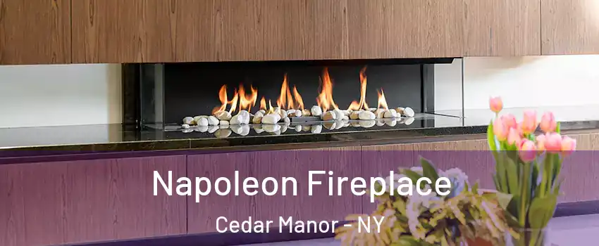 Napoleon Fireplace Cedar Manor - NY