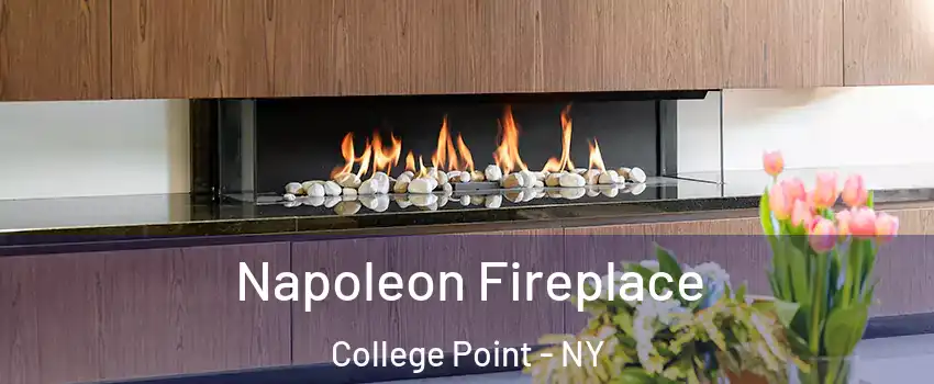 Napoleon Fireplace College Point - NY