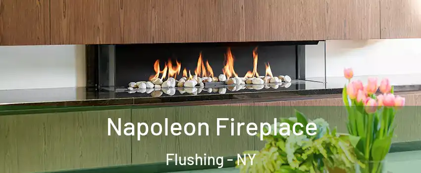 Napoleon Fireplace Flushing - NY