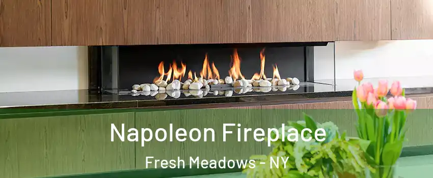 Napoleon Fireplace Fresh Meadows - NY