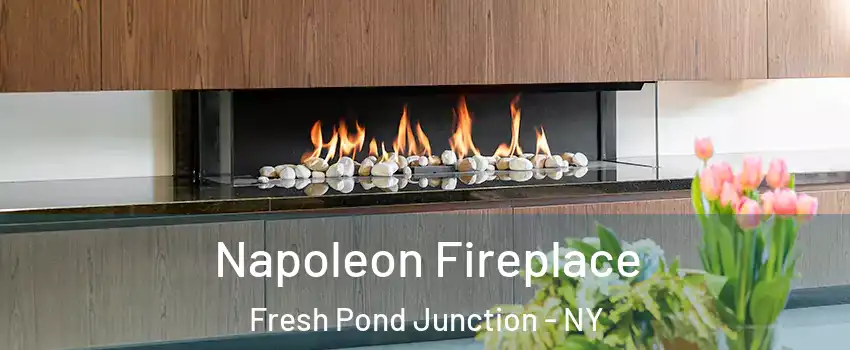Napoleon Fireplace Fresh Pond Junction - NY