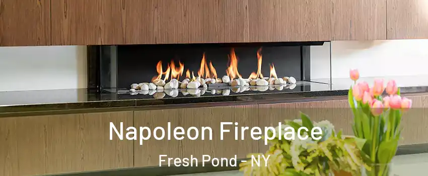Napoleon Fireplace Fresh Pond - NY