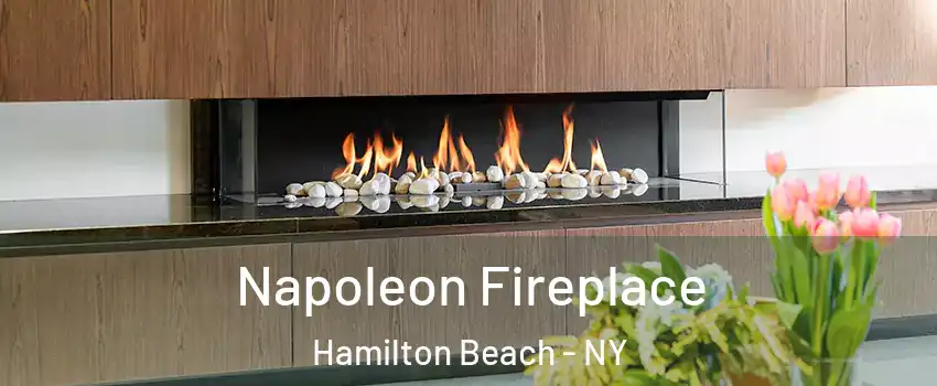 Napoleon Fireplace Hamilton Beach - NY