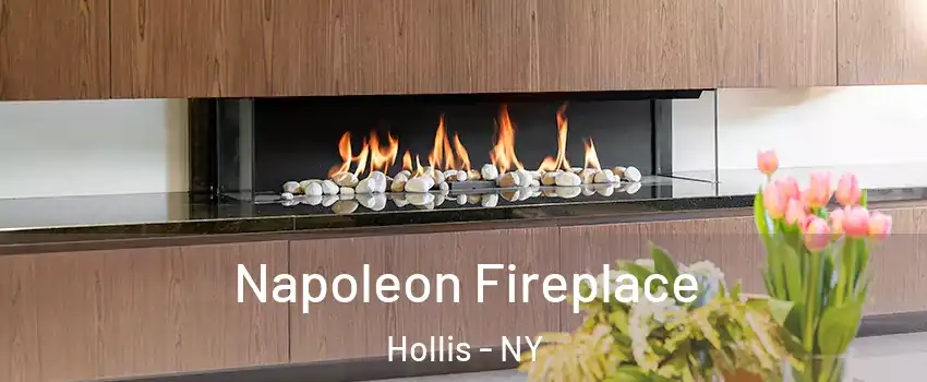 Napoleon Fireplace Hollis - NY