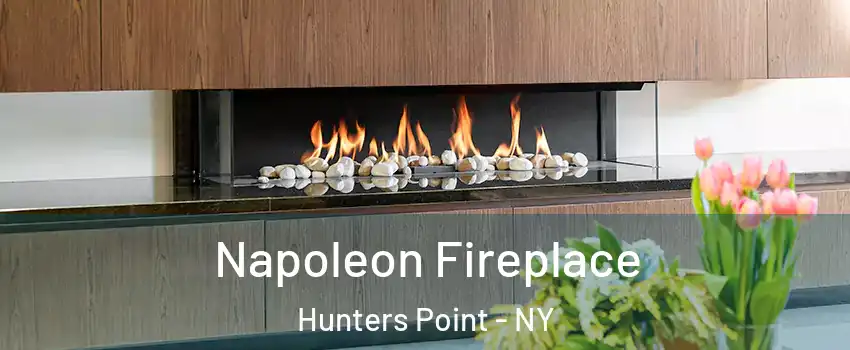 Napoleon Fireplace Hunters Point - NY